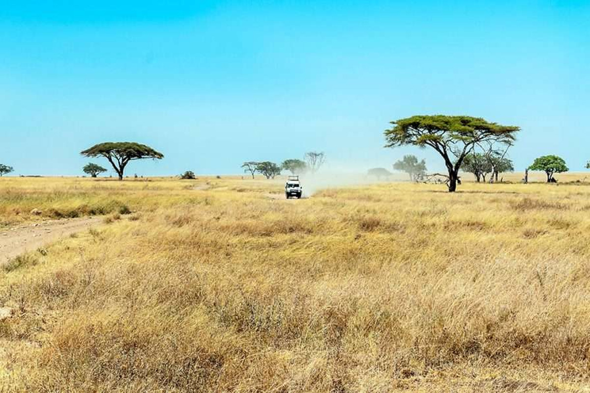 Tanzania during July